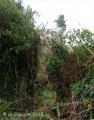 Click for full size image of St Eval Church Stones (PID:99841) St Eval Church Stones