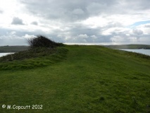 Brea Hill - PID:99494