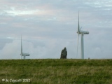 Click for full size image of St Breock Downs Menhir (PID:101744) St Breock Downs Menhir