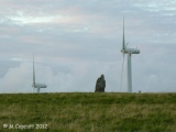 St Breock Downs Menhir