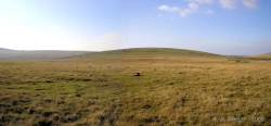 Click for full size image of Leskernick SE (PID:43275) Leskernick SE