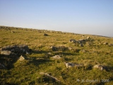 Click for full size image of Leskernick Hill Settlement (PID:43205) Leskernick Hill Settlement