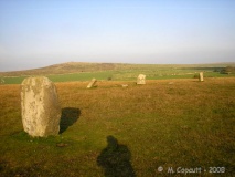 Trippet Stones - PID:43510