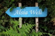 Alsia Well