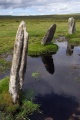 Click for full size image of Nine Stones (Altarnun) (PID:32434) Nine Stones (Altarnun)