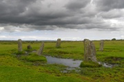 Click for full size image of Nine Stones (Altarnun) (PID:32628) Nine Stones (Altarnun)