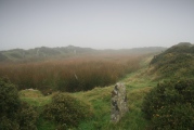 Click for full size image of King Arthur's Hall (PID:109164) King Arthur's Hall