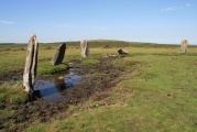 Click for full size image of Nine Stones (Altarnun) (PID:112755) Nine Stones (Altarnun)