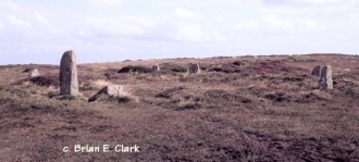 Boskednan stone circle - PID:6244