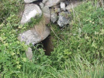 Lower Boscaswell Fougou - PID:8843
