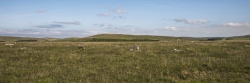 Louden Hill circle