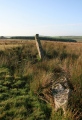 Click for full size image of Stripple Stones (PID:112737) Stripple Stones