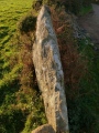 Click for full size image of Boscawen-Un Hedge (PID:161385) Boscawen-Un Hedge