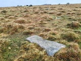 Click for full size image of Craddock Moor circle (PID:281569) Craddock Moor circle