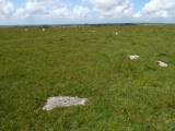 Click for full size image of Louden Hill circle (PID:206145) Louden Hill circle