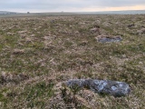 Click for full size image of Louden Hill circle (PID:273884) Louden Hill circle