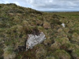 Click for full size image of Rosenannon Downs (PID:273440) Rosenannon Downs