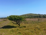 Click for full size image of Castle Pencaire (PID:212162) Castle Pencaire