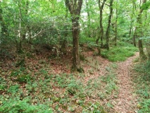 Click for full size image of Bishops Wood Fort (PID:215290) Bishops Wood Fort