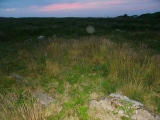 Click for full size image of Portheras Barrow (PID:134723) Portheras Barrow