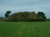Click for full size image of Veryan Barrow (PID:134714) Veryan Barrow