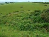 Veryan castle