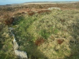 Click for full size image of Boskednan 4 (PID:117951) Boskednan 4