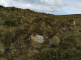 Click for full size image of Rosenannon Downs (PID:273442) Rosenannon Downs