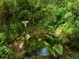 Madron Well