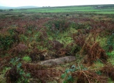 Click for full size image of Men-an-tol Mound (PID:114494) Men-an-tol Mound