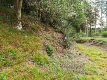 Click for full size image of Bishops Wood Fort (PID:215291) Bishops Wood Fort
