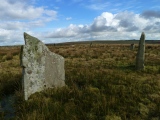 Click for full size image of Stripple Stones (PID:164643) Stripple Stones