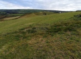 Click for full size image of Bossiney Settlement (PID:269542) Bossiney Settlement