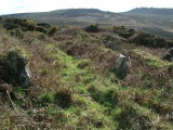 Porthmeor Settlements, Tumuli and homestead