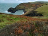 Click for full size image of Boscastle Settlement (PID:269528) Boscastle Settlement