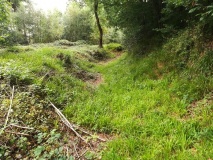 Click for full size image of Bishops Wood Fort (PID:215292) Bishops Wood Fort
