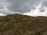 Click for full size image of Rosenannon Downs (PID:273435) Rosenannon Downs