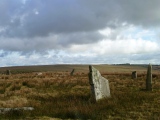 Click for full size image of Stripple Stones (PID:164662) Stripple Stones