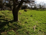 Click for full size image of Prideaux Camp (PID:156238) Prideaux Camp