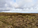 Click for full size image of Rosenannon Downs (PID:273438) Rosenannon Downs