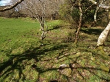 Click for full size image of Prideaux Camp (PID:156240) Prideaux Camp
