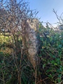 Click for full size image of St Eval Church Stones (PID:286300) St Eval Church Stones