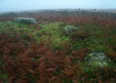 Click for full size image of Boskednan 4 (PID:114576) Boskednan 4