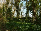 Carnsew hillfort