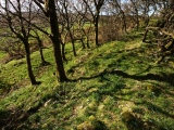 Click for full size image of Prideaux Camp (PID:156244) Prideaux Camp