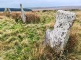 Click for full size image of Stripple Stones (PID:282058) Stripple Stones