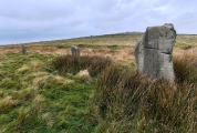 Click for full size image of Stripple Stones (PID:282057) Stripple Stones