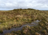 Click for full size image of Rosenannon Downs W (PID:273431) Rosenannon Downs W