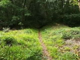 Bishops Wood Fort