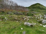 Click for full size image of Lowland Point (PID:213930) Lowland Point